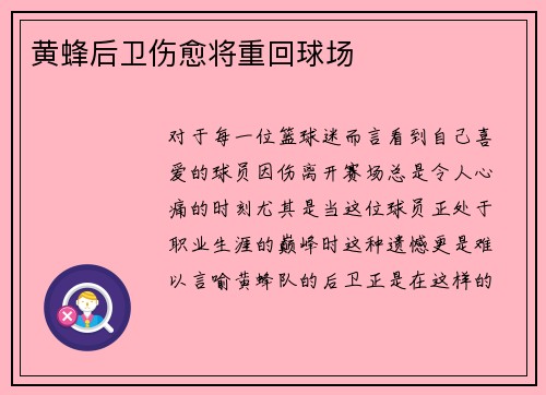 黄蜂后卫伤愈将重回球场