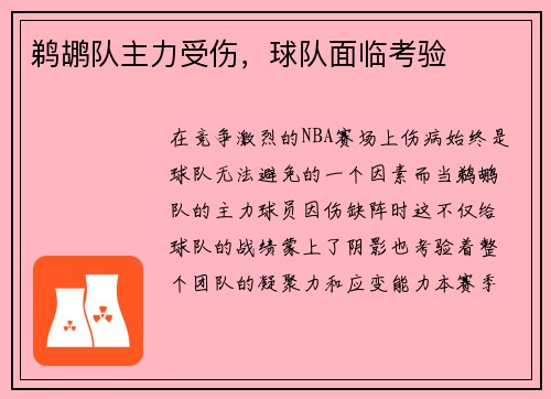 鹈鹕队主力受伤，球队面临考验
